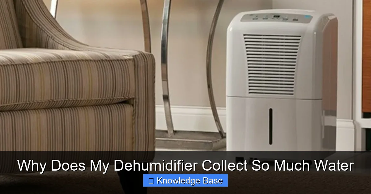 Why Does My Dehumidifier Collect So Much Water