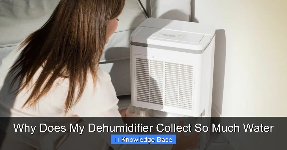 Why Does My Dehumidifier Collect So Much Water