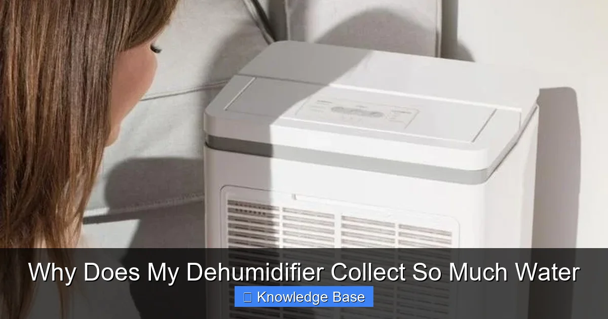 Why Does My Dehumidifier Collect So Much Water