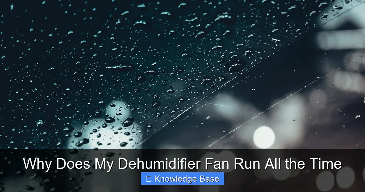 Why Does My Dehumidifier Fan Run All the Time