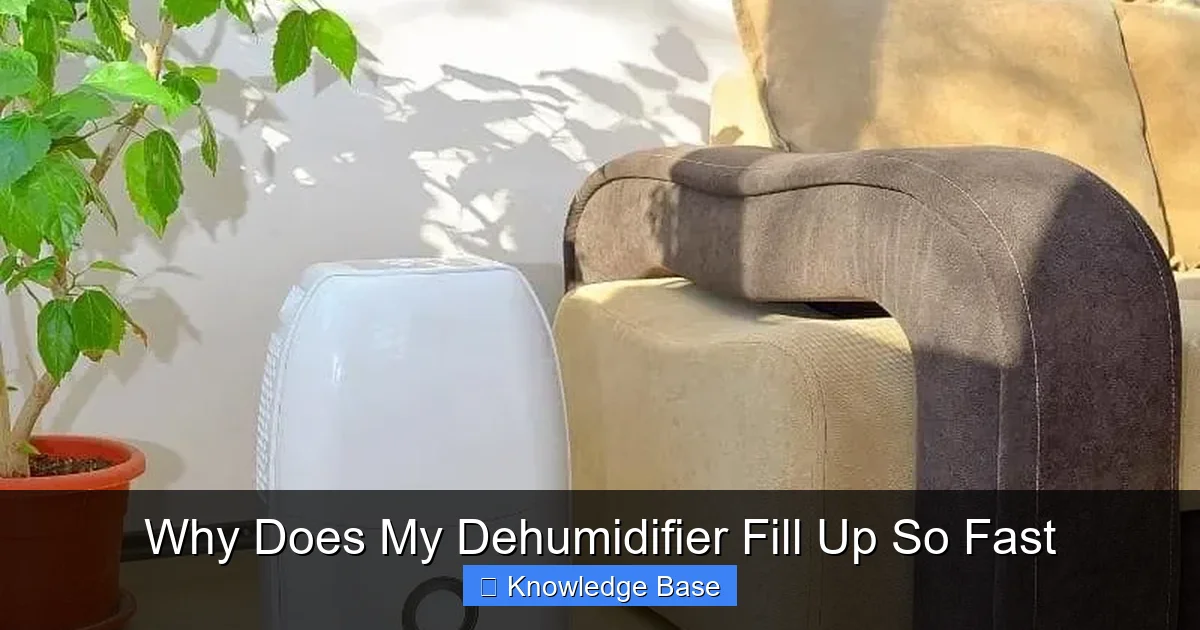 Why Does My Dehumidifier Fill Up So Fast